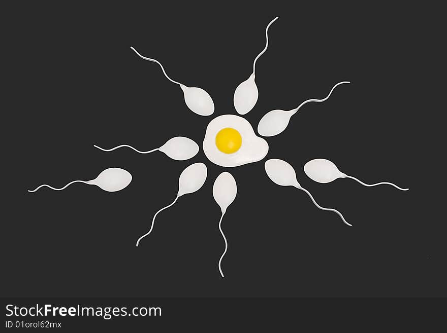 Sperms and egg