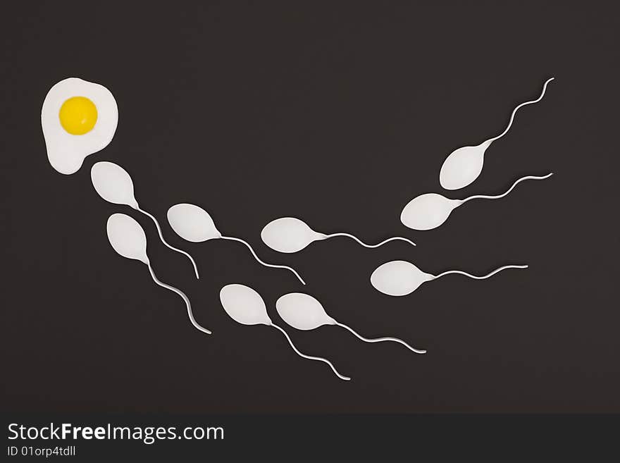 Sperm race