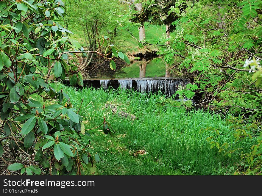 Peaceful running brook,very quiet and the atmosphere suits a romantic walk amongst the forest and the trees. Perfect area for quiet reflection on a hectic days events. Peaceful running brook,very quiet and the atmosphere suits a romantic walk amongst the forest and the trees. Perfect area for quiet reflection on a hectic days events.