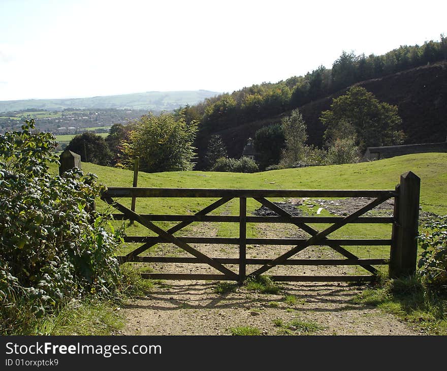 Fence in landscape