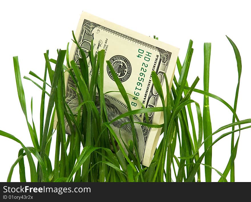 One hundred american dollars in grass on white background. One hundred american dollars in grass on white background