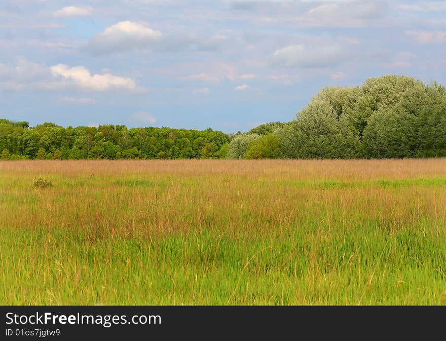 Meadow