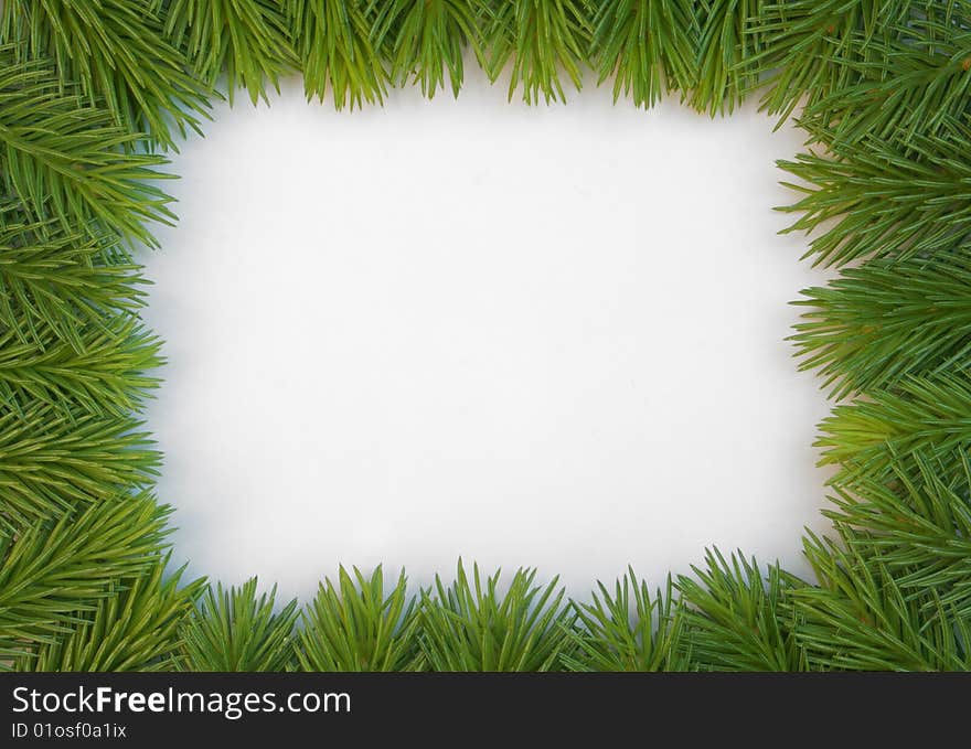 Fresh green fir branches isolated on white background