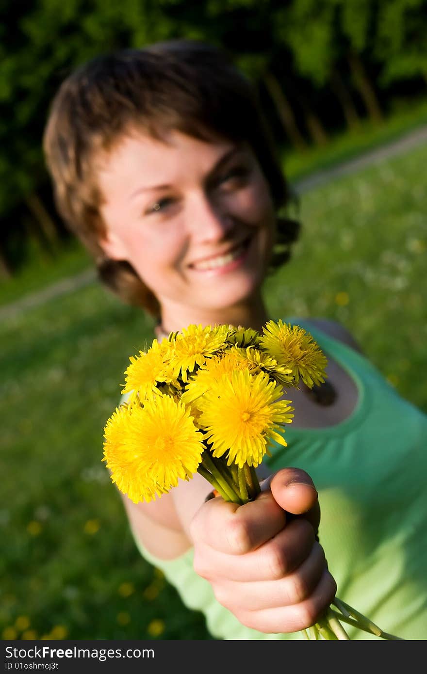 Bunch of dandelions