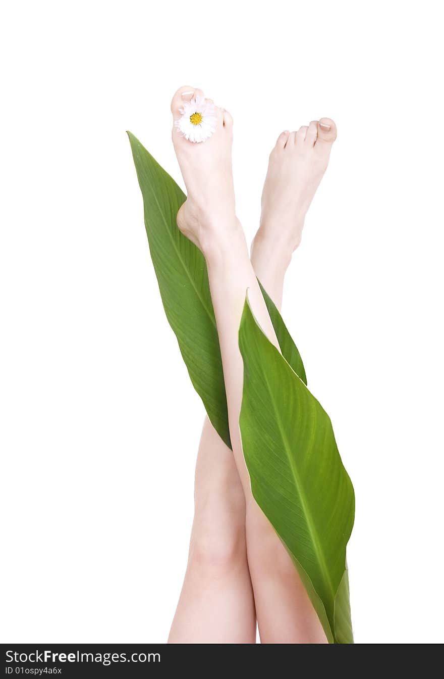 Feet with petals