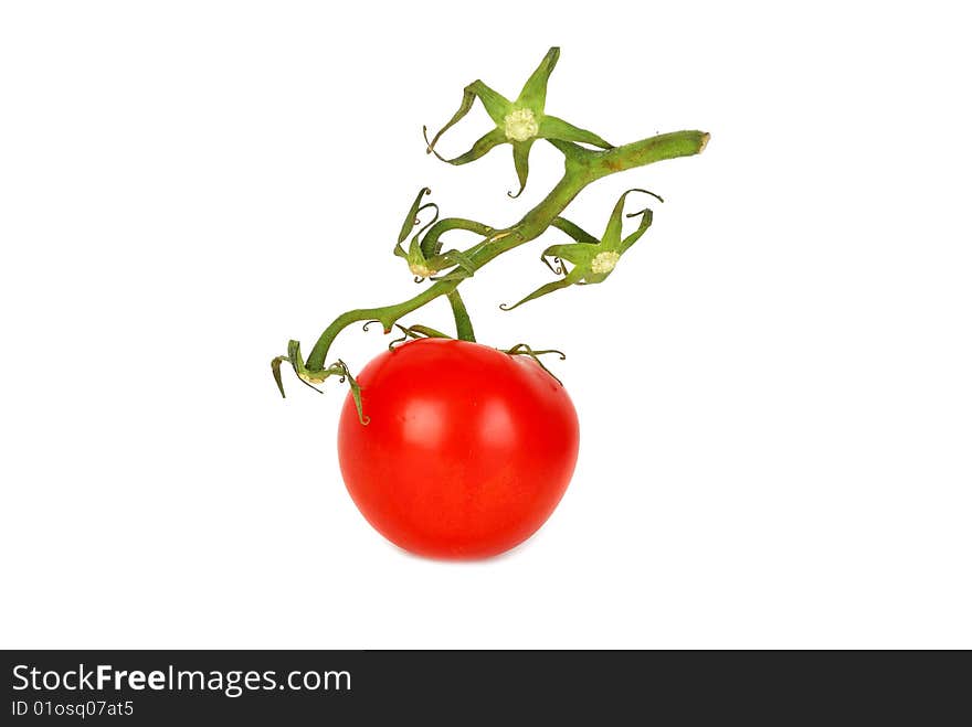 Fresh tomato with green stalk