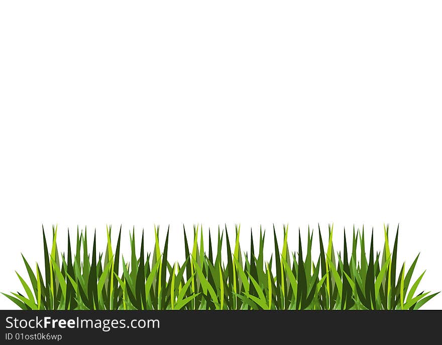 Illustration of fresh green grass