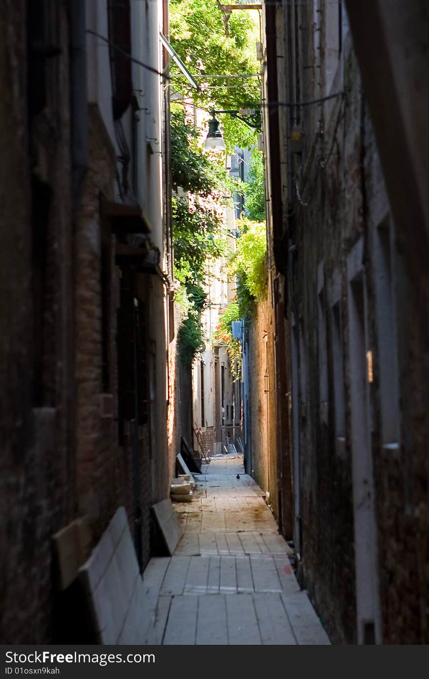 Street Lane in Venice in summer