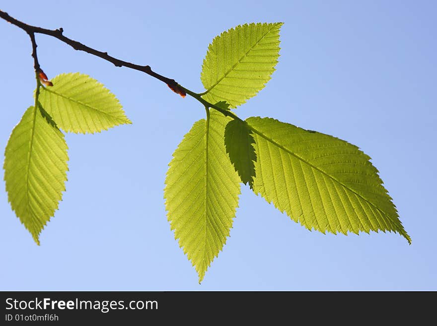 Green sheet against the dark blue sky