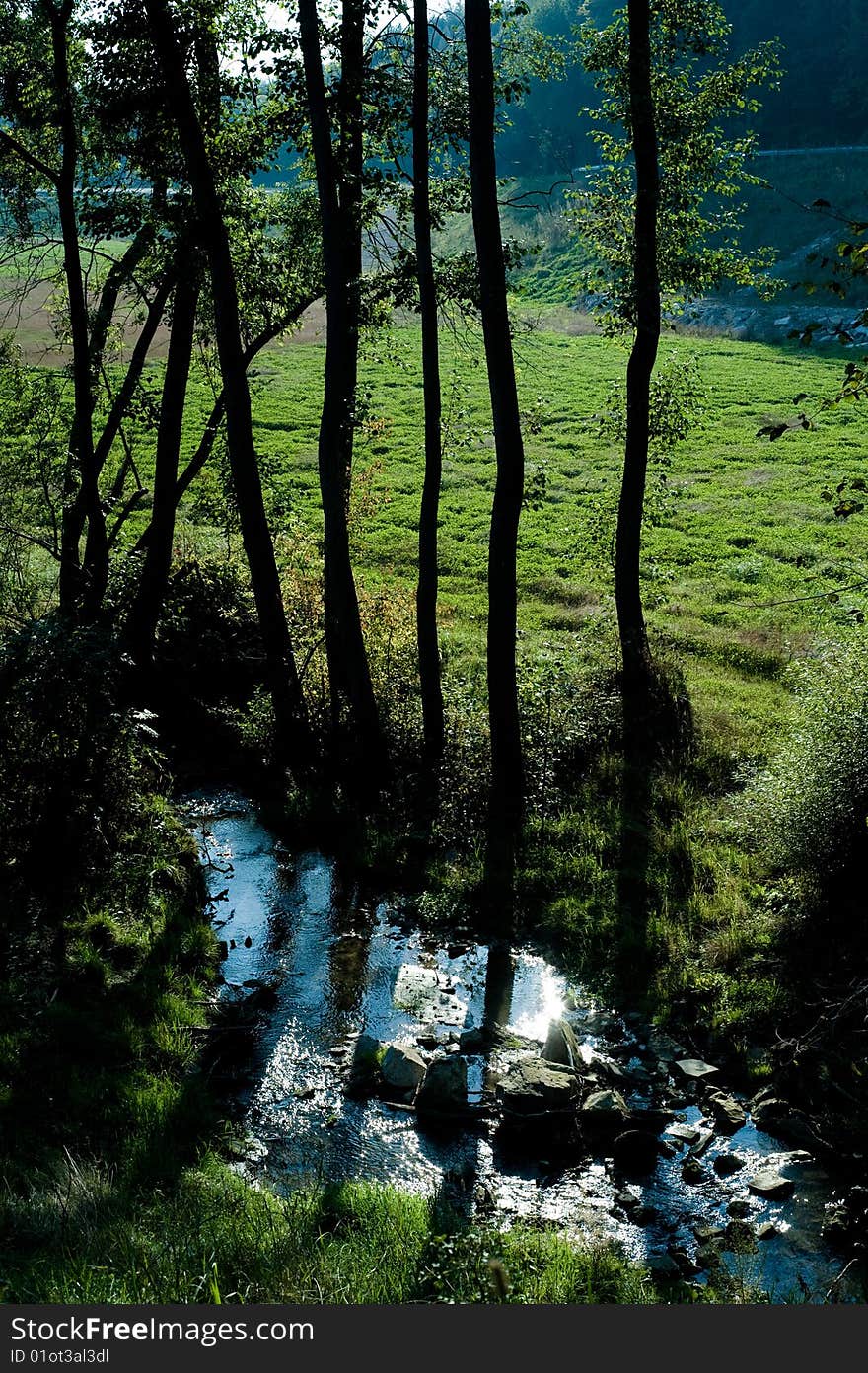 Trees and a creek near vienna. Trees and a creek near vienna