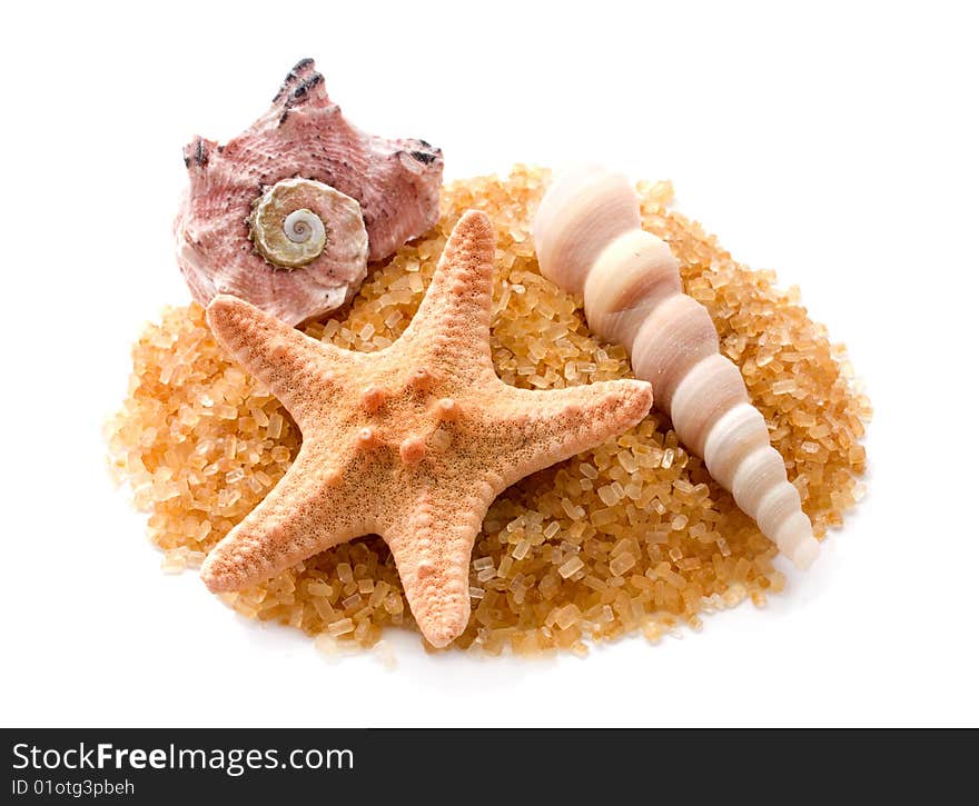 Starfish and seashells on golden background