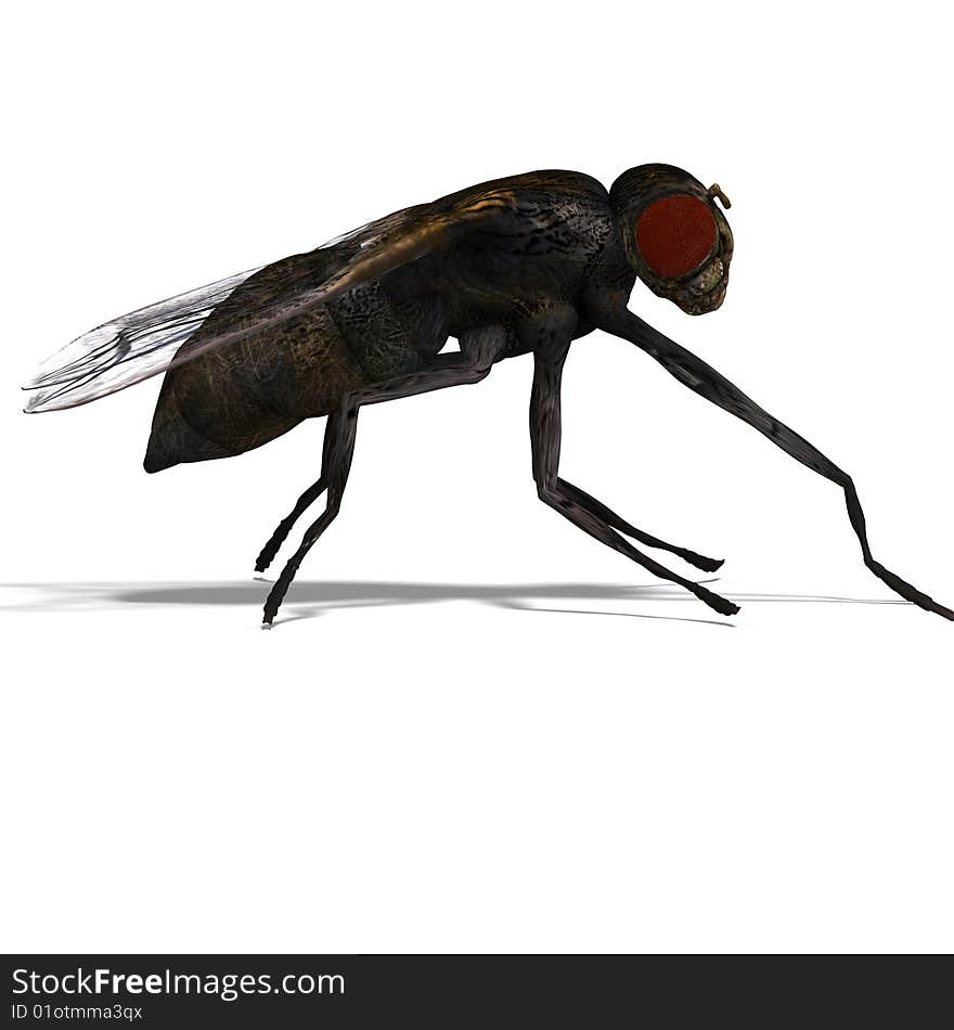 Rendering of a fly with Clipping Path and shadow over white