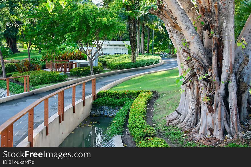 Green landscape