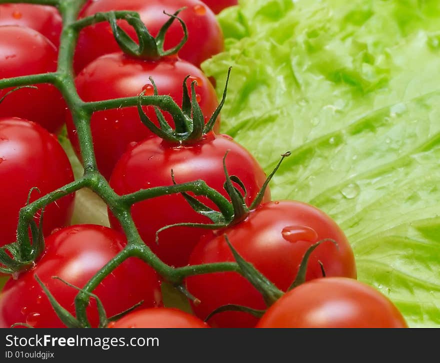 Cherry tomato on the lettuce leaf 1