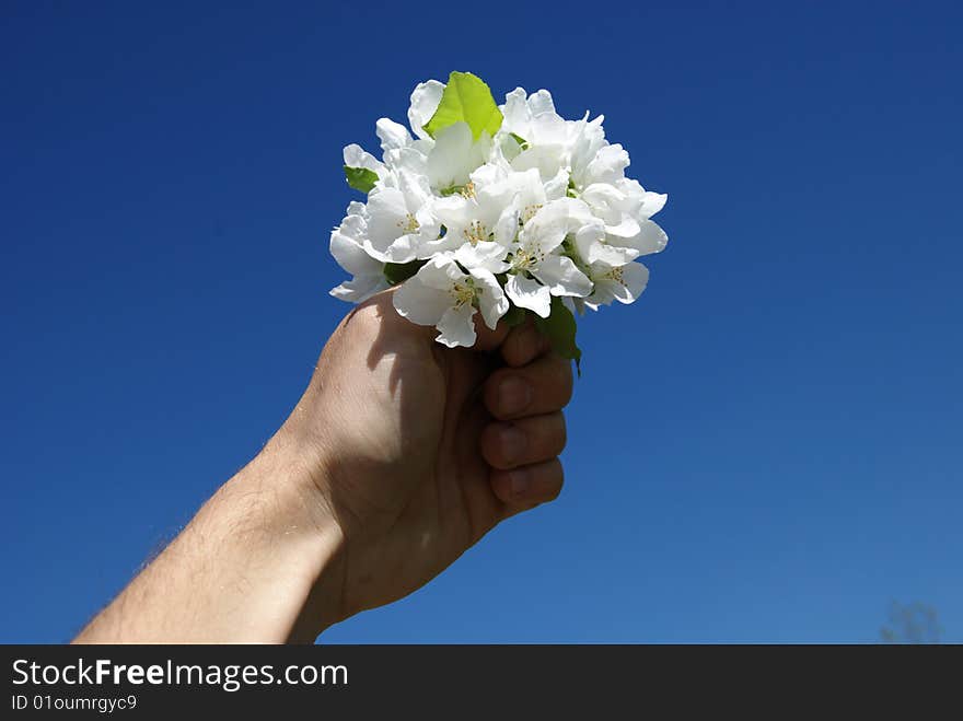 Flowers In A Hand