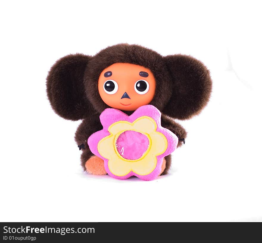 Plush toy on a white background