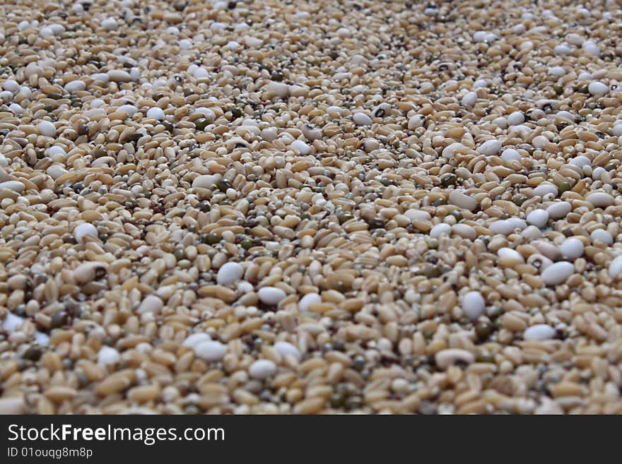 Mixed Food Grains