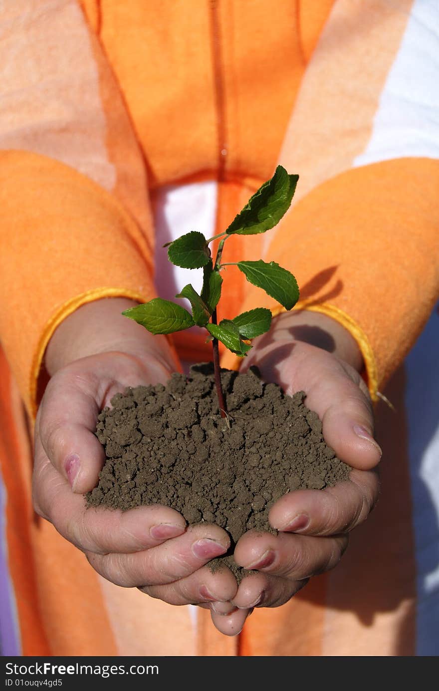 Hands +plant