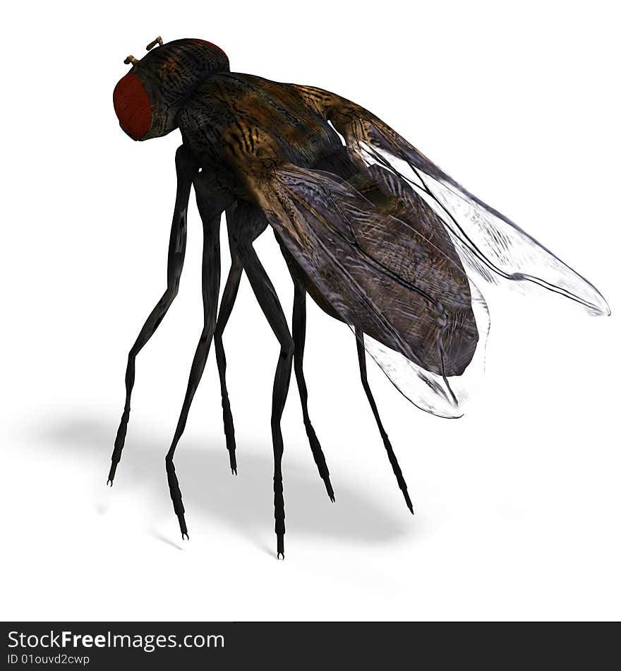 Rendering of a fly with Clipping Path and shadow over white