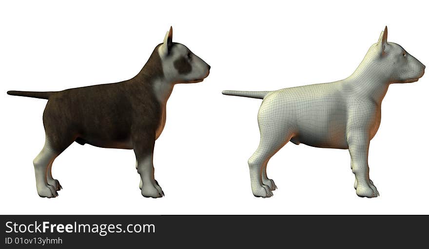 Bull terrior dog 3d model isolated on white