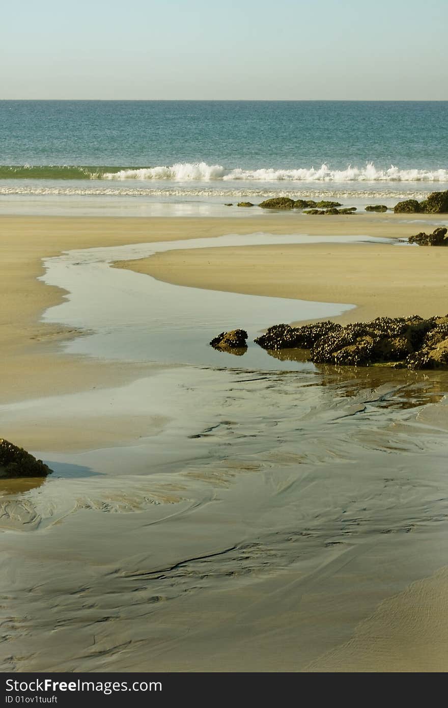 Details of the beach with the tide