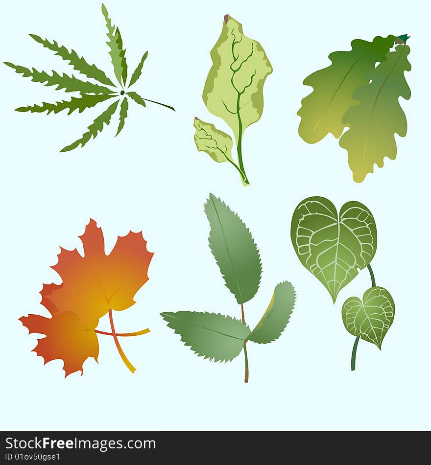 Vector illustration set of design leaves silhouettes