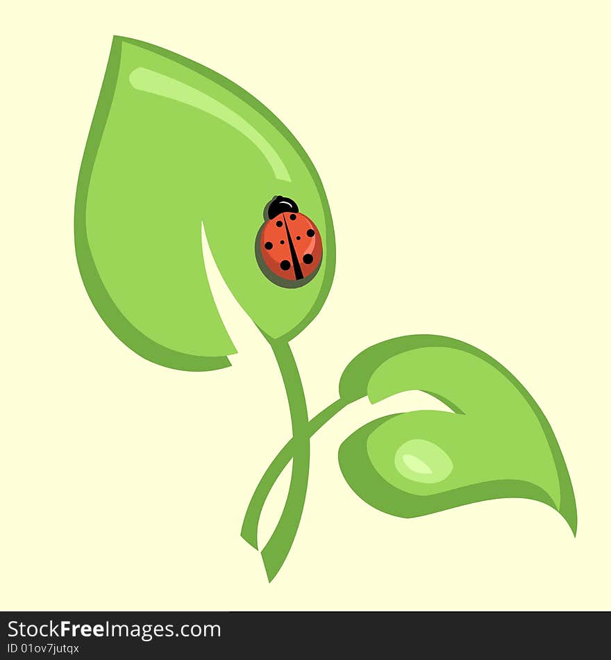 Vector illustration of ladybug sitting on the green leaf. Vector illustration of ladybug sitting on the green leaf