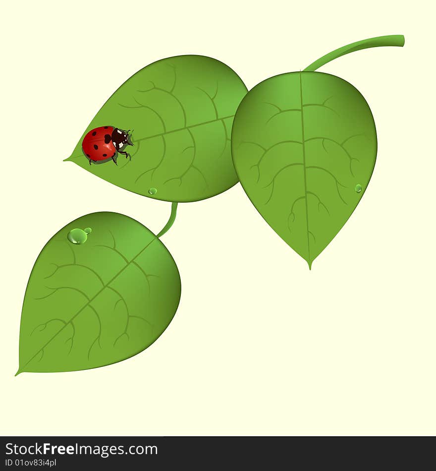 Vector illustration of  funky ladybug sitting on the green leaves