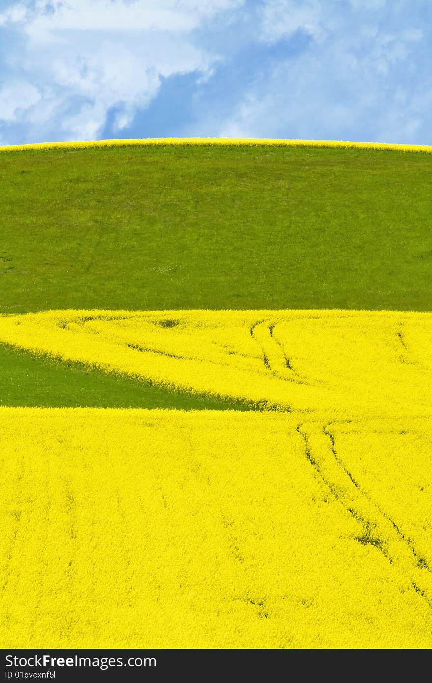 Landscape with field and sky