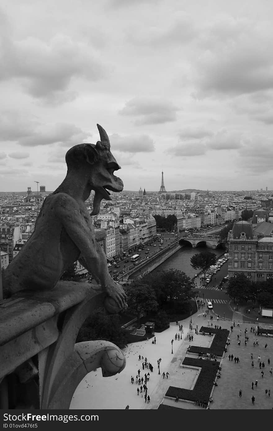 A view into Paris from the Notre Dame Cathedral. A view into Paris from the Notre Dame Cathedral