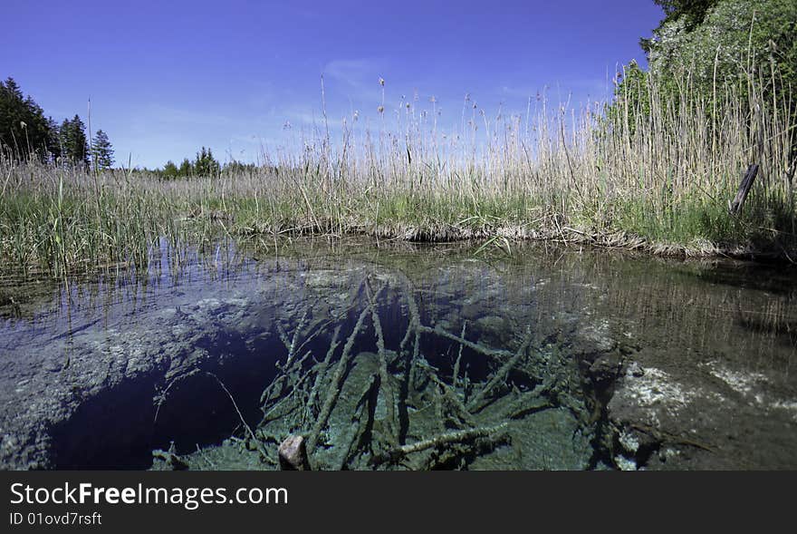 Beautiful crystal clear  turquoise natural lake with a hole in the ground and weed around. Beautiful crystal clear  turquoise natural lake with a hole in the ground and weed around