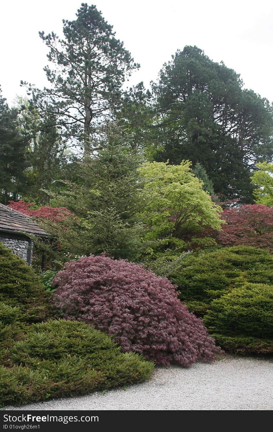 Colourful trees in corner of formal garden with copy space. Colourful trees in corner of formal garden with copy space