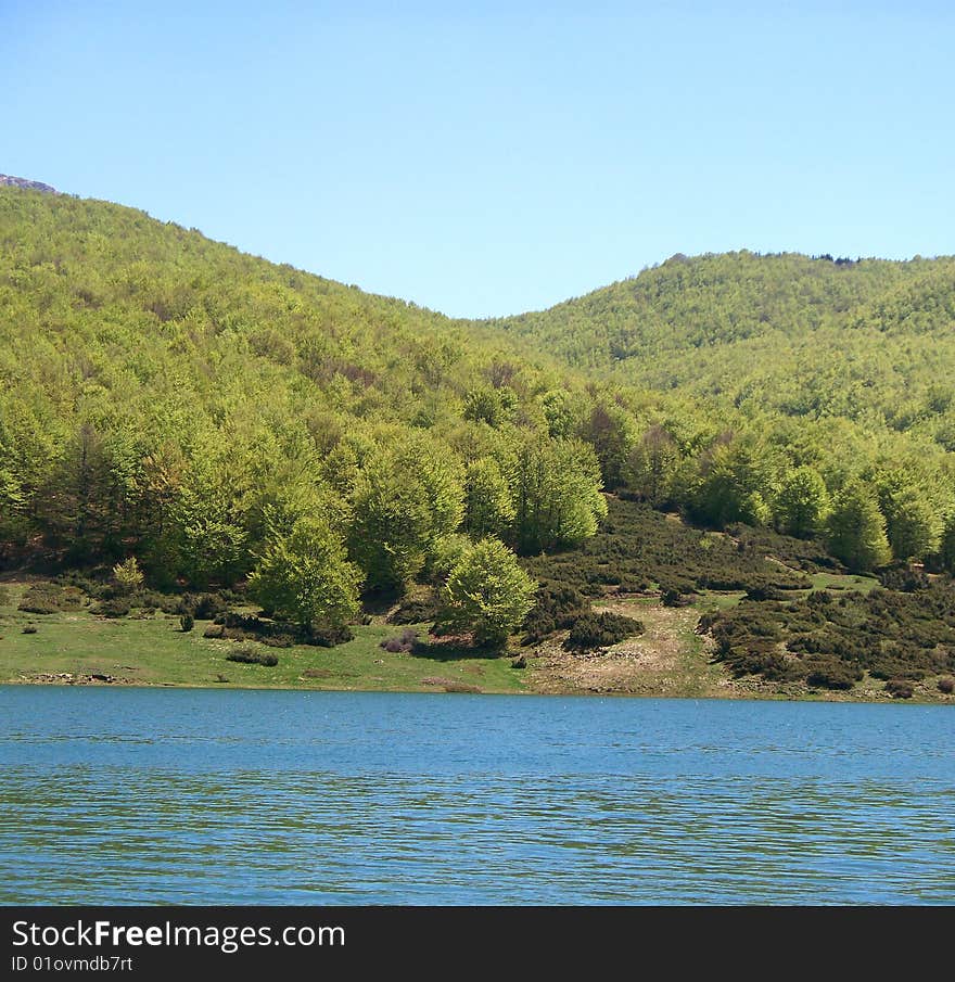 Trees in the lake of lagastrello