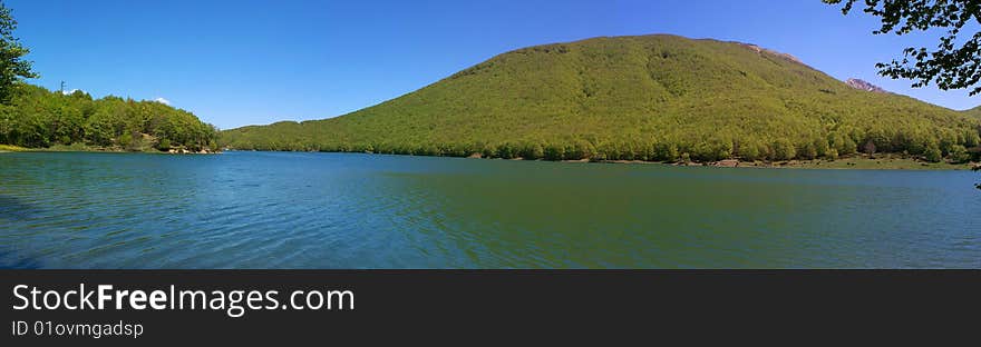 Trees in the lake of lagastrello