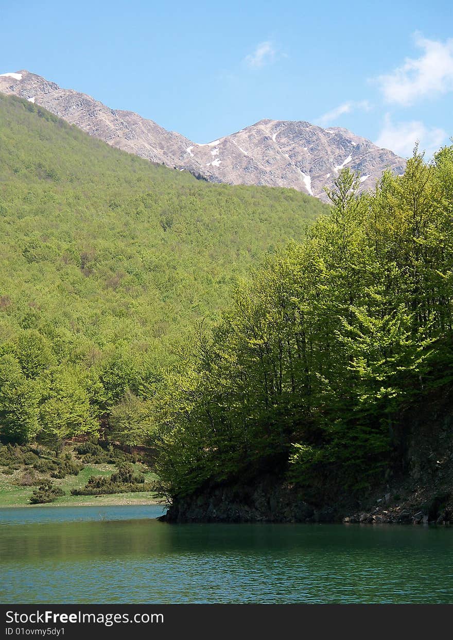 Trees in the lake of lagastrello