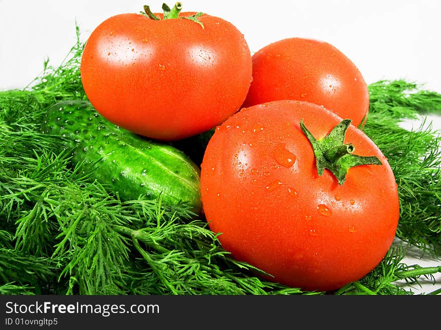 Tomatos and cucumber on verdure. Tomatos and cucumber on verdure