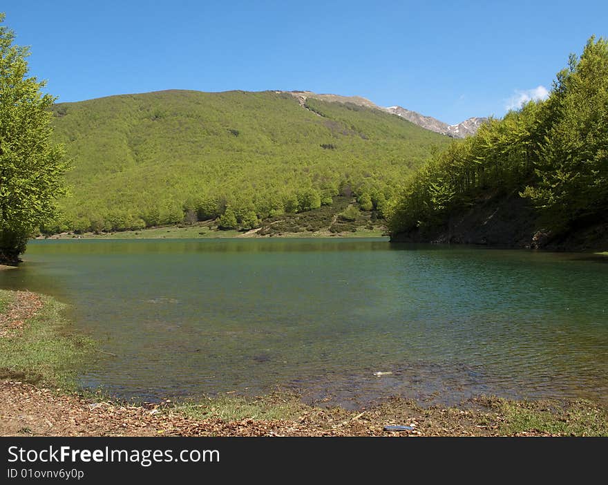 Trees in the lake of lagastrello