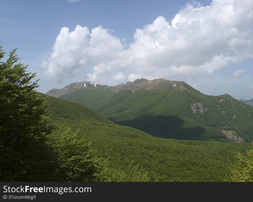 Trees in the lake of lagastrello