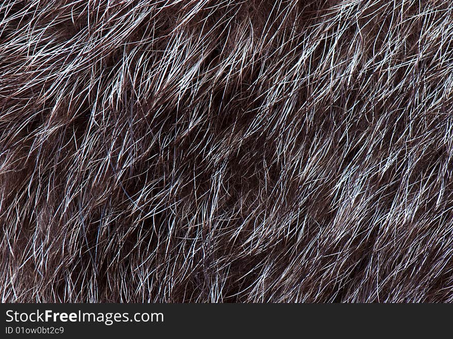 Fur