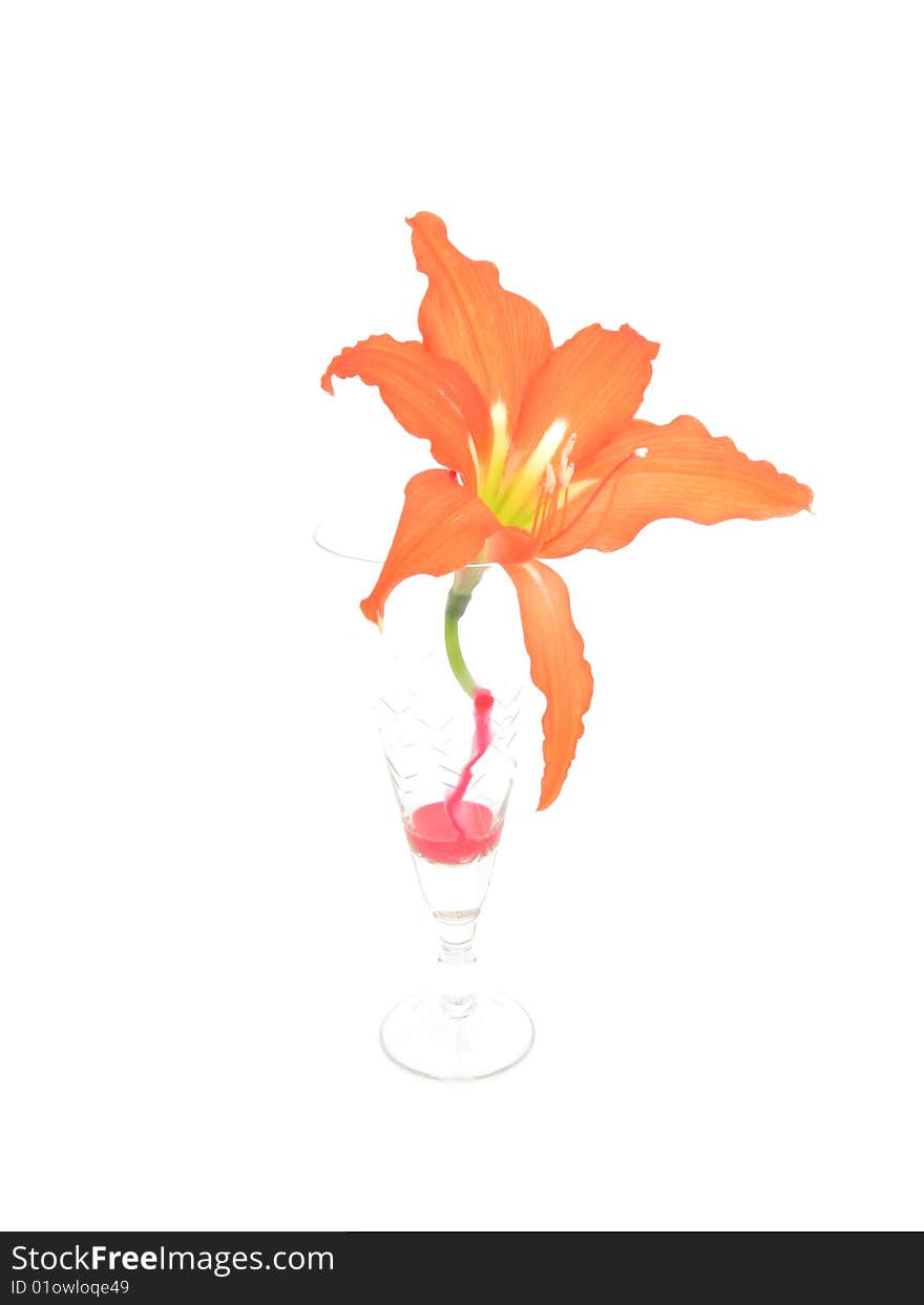 The Flower in tall wine glass on white background. The Flower in tall wine glass on white background.