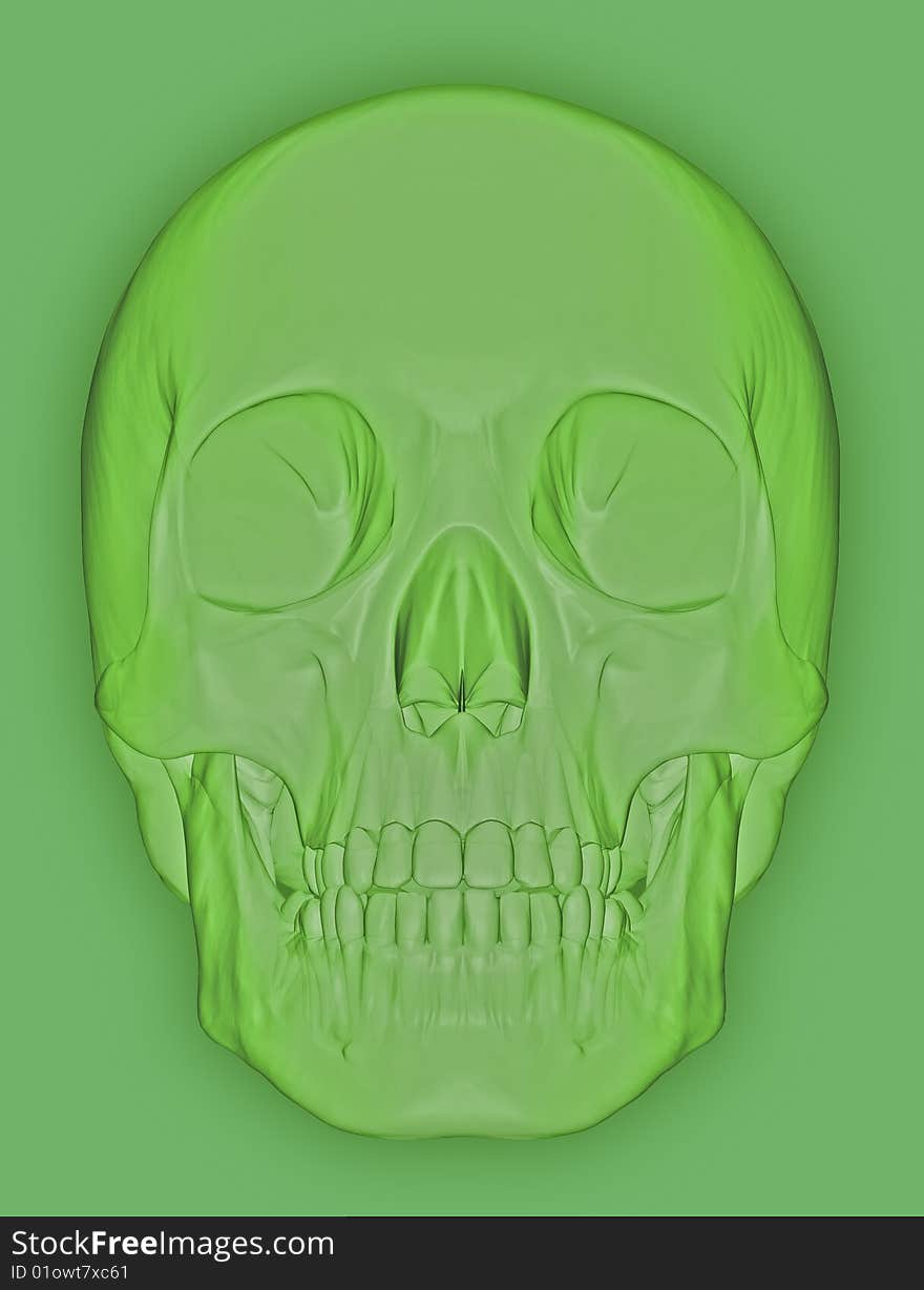 Scull 3d