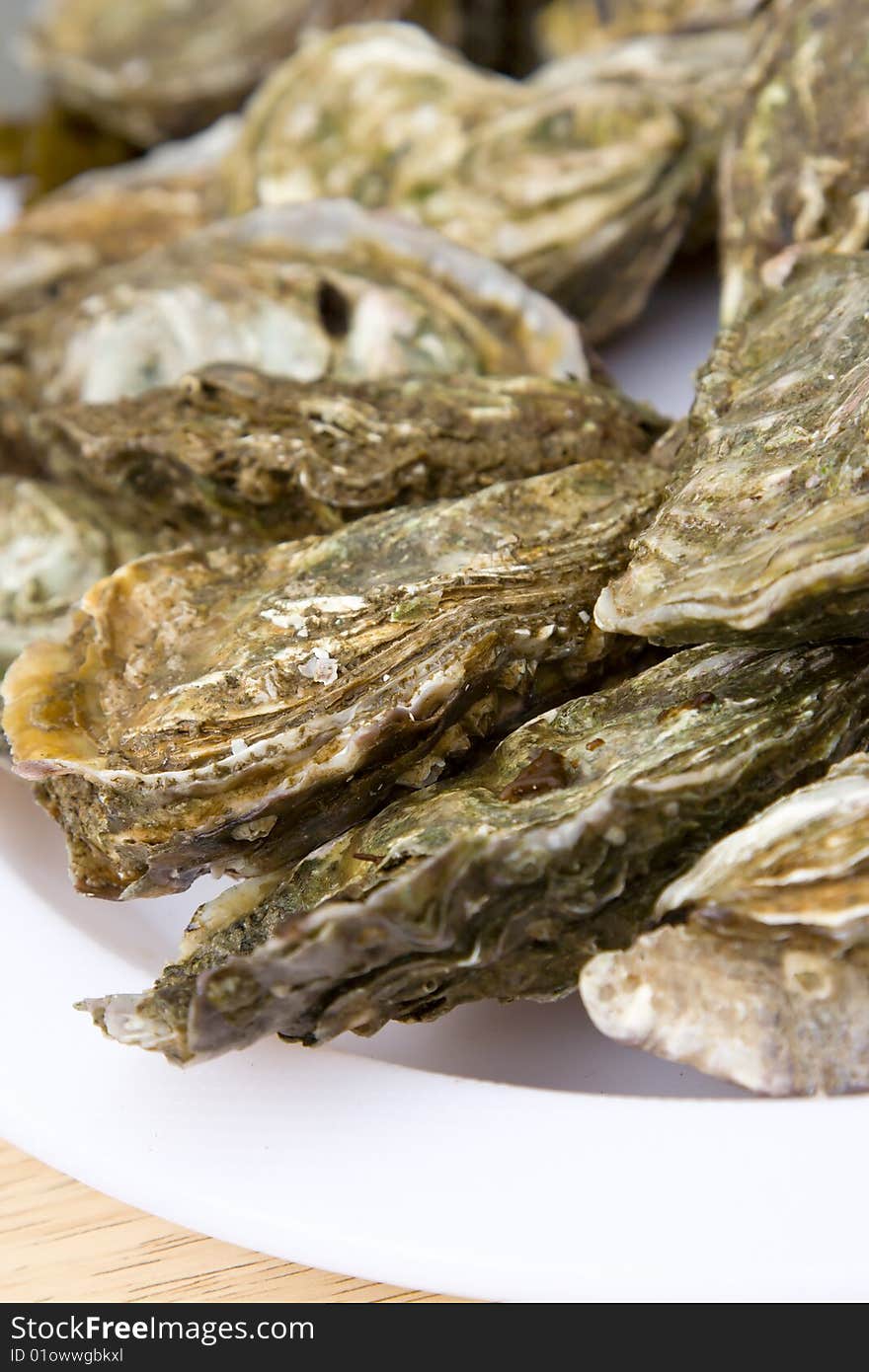 Atlantic oysters on a dish