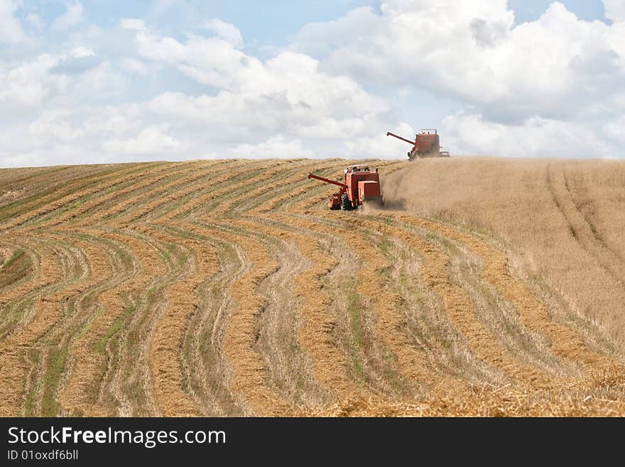 Old combine harvesting a wheat field, wide stubble field, good year