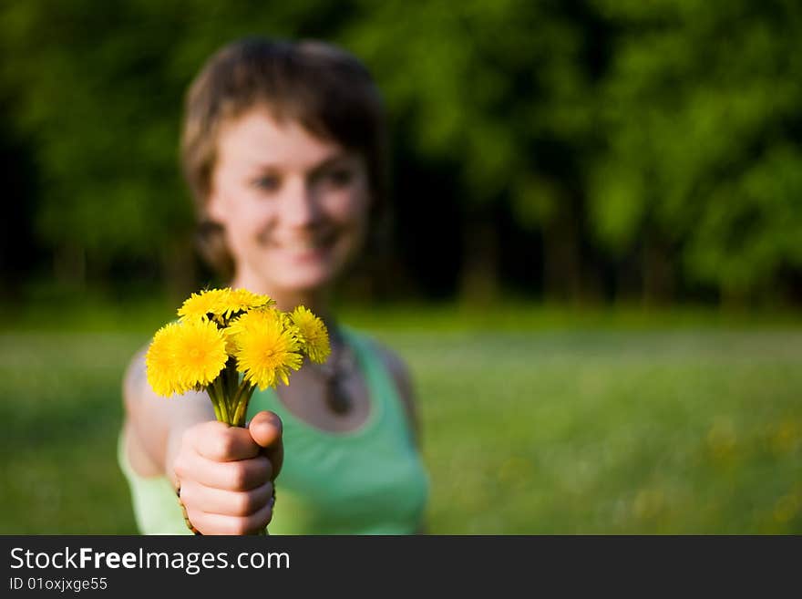 Bunch of dandelions