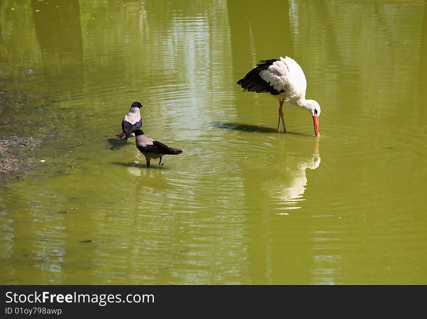 Reflection