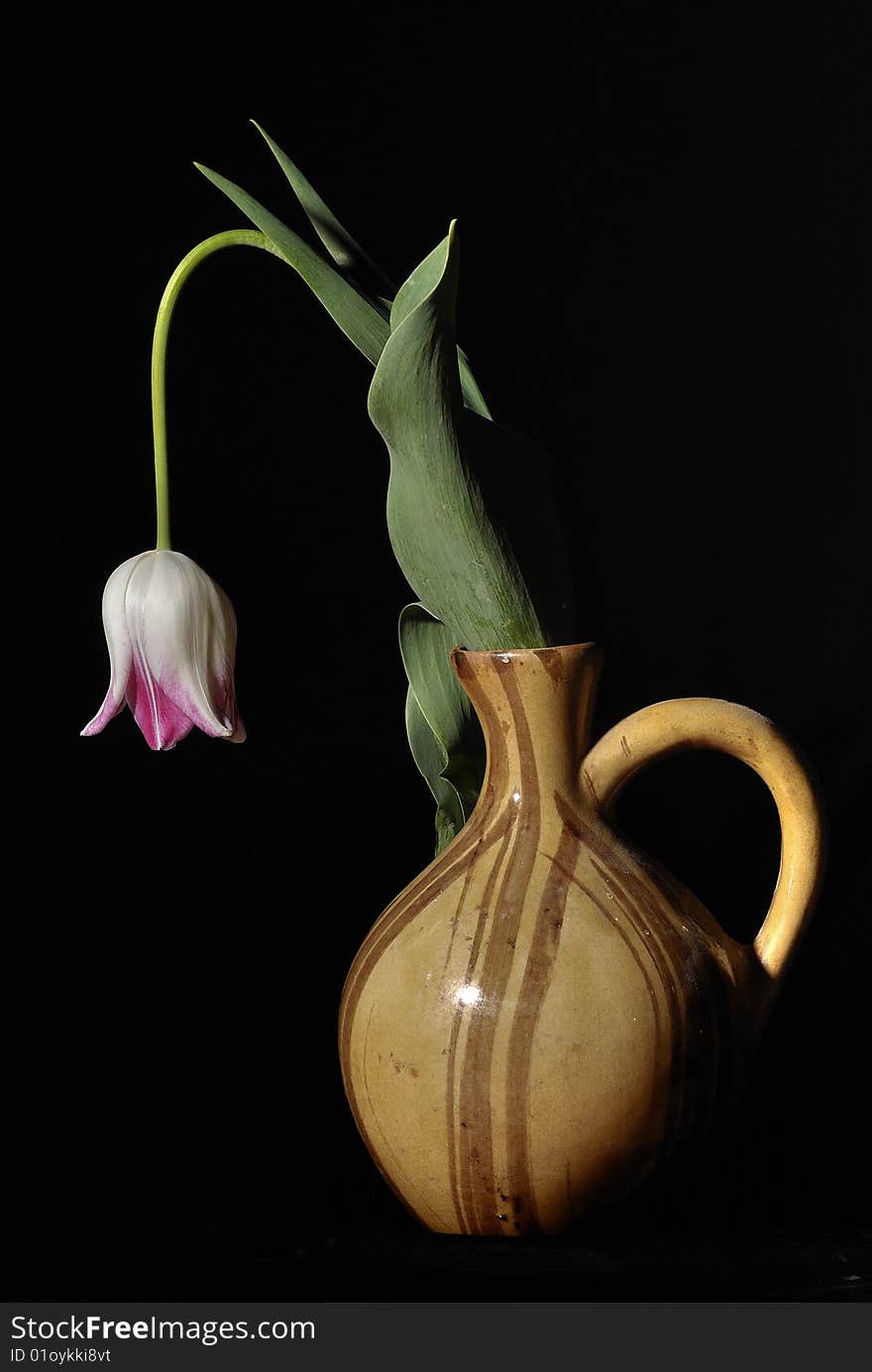 Withering tulip in a brown jug. Withering tulip in a brown jug