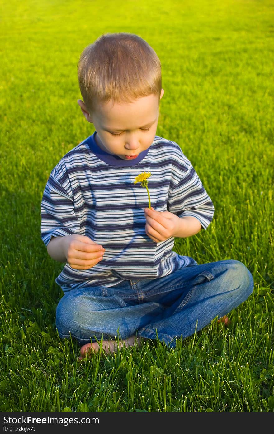 Boy Sits On Grass