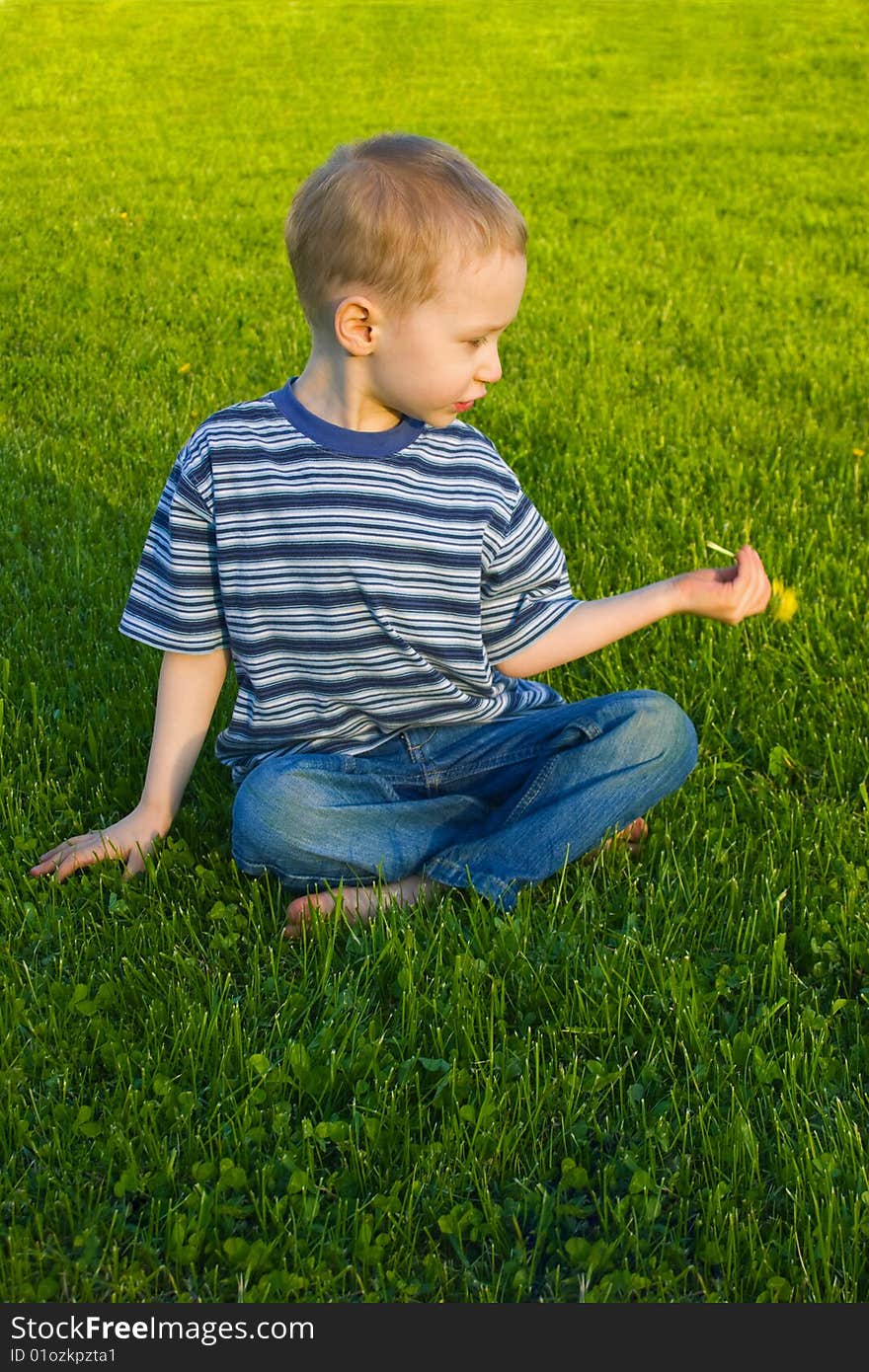 Boy Sits On Grass