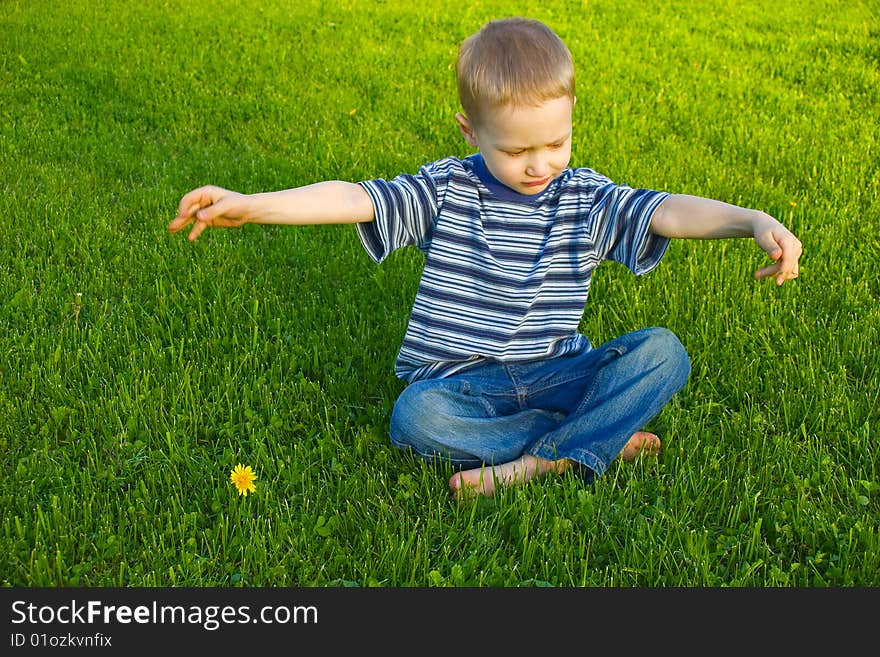 Boy Sits On Grass