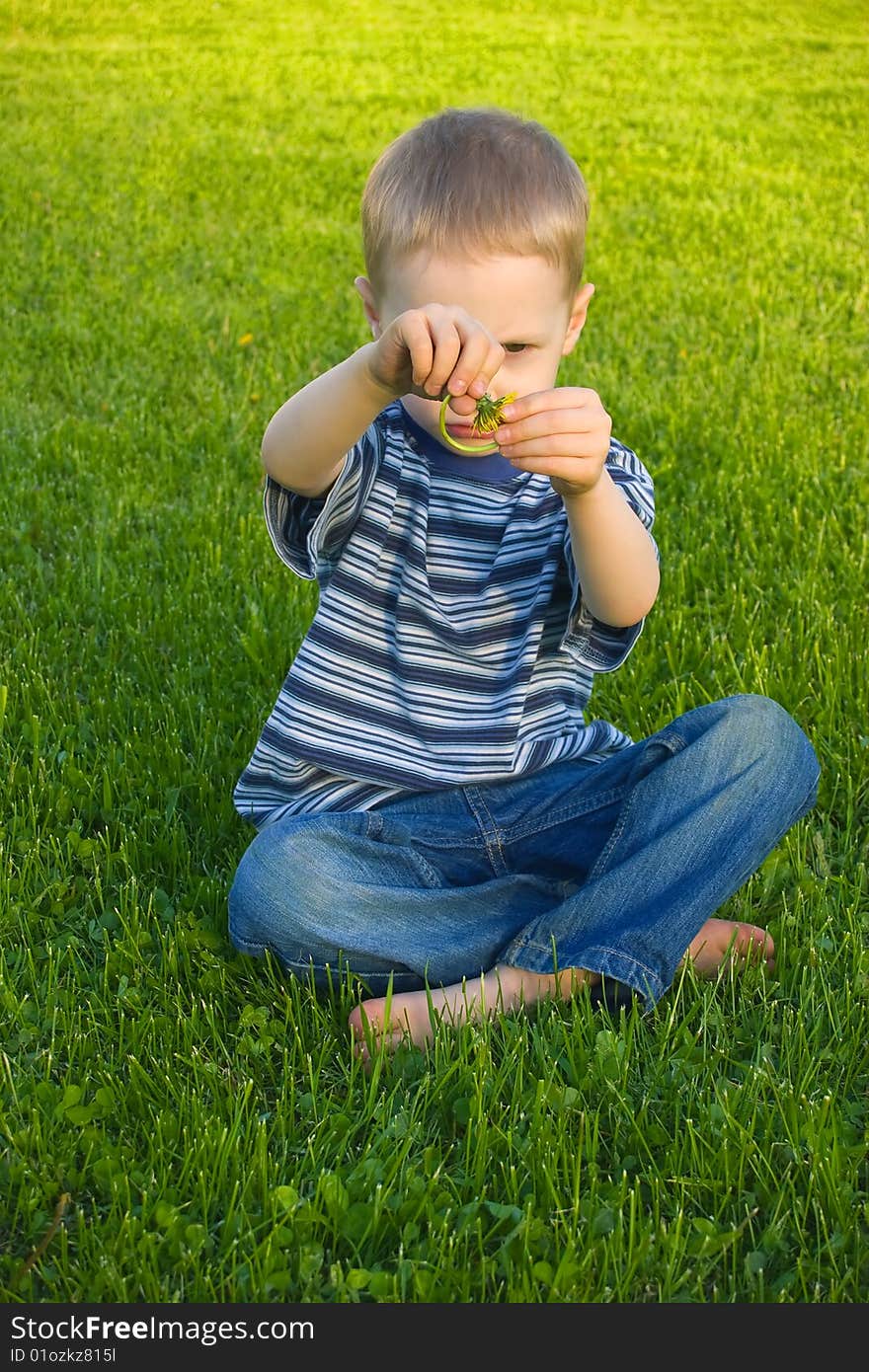 The four-year boy sits on a grass and looks at the bent dandelion. The four-year boy sits on a grass and looks at the bent dandelion